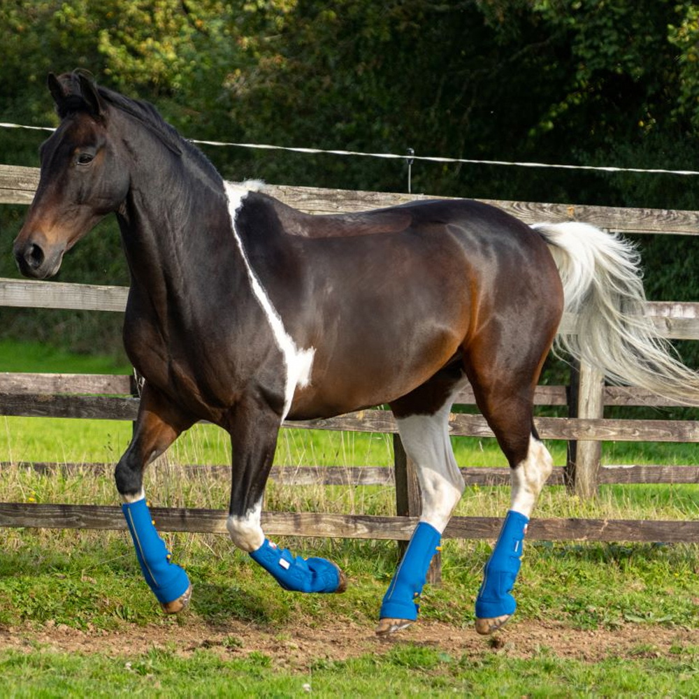 Equilibrium Equi-Chaps Close Contact Chaps EQB1200 - Navy / Yellow